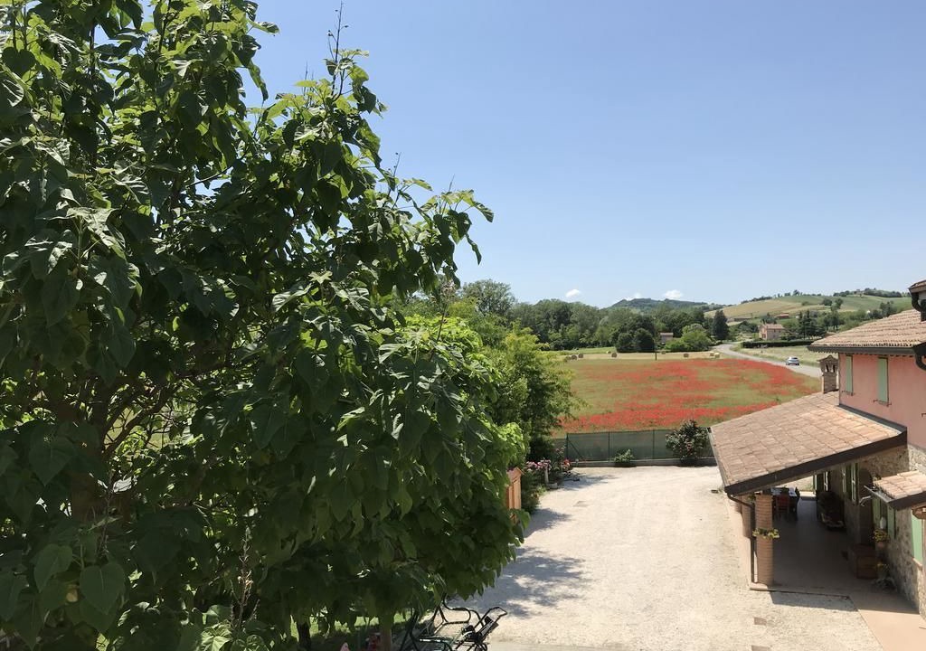Photo of Outdoor in Noceto
