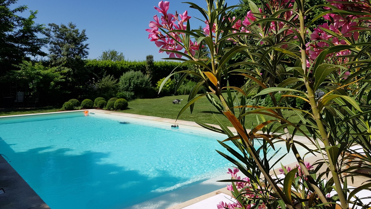 Photo of Outdoor in Porporano