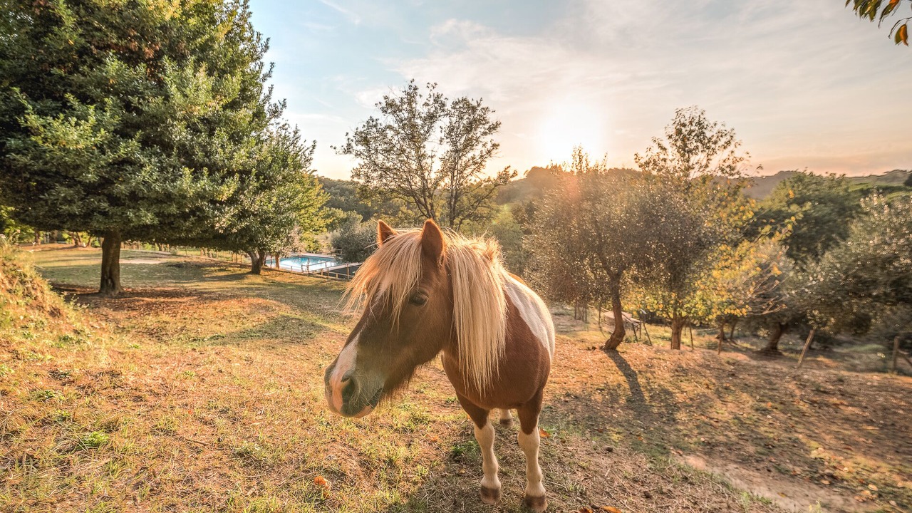 Photo of Outdoor in Pontedera