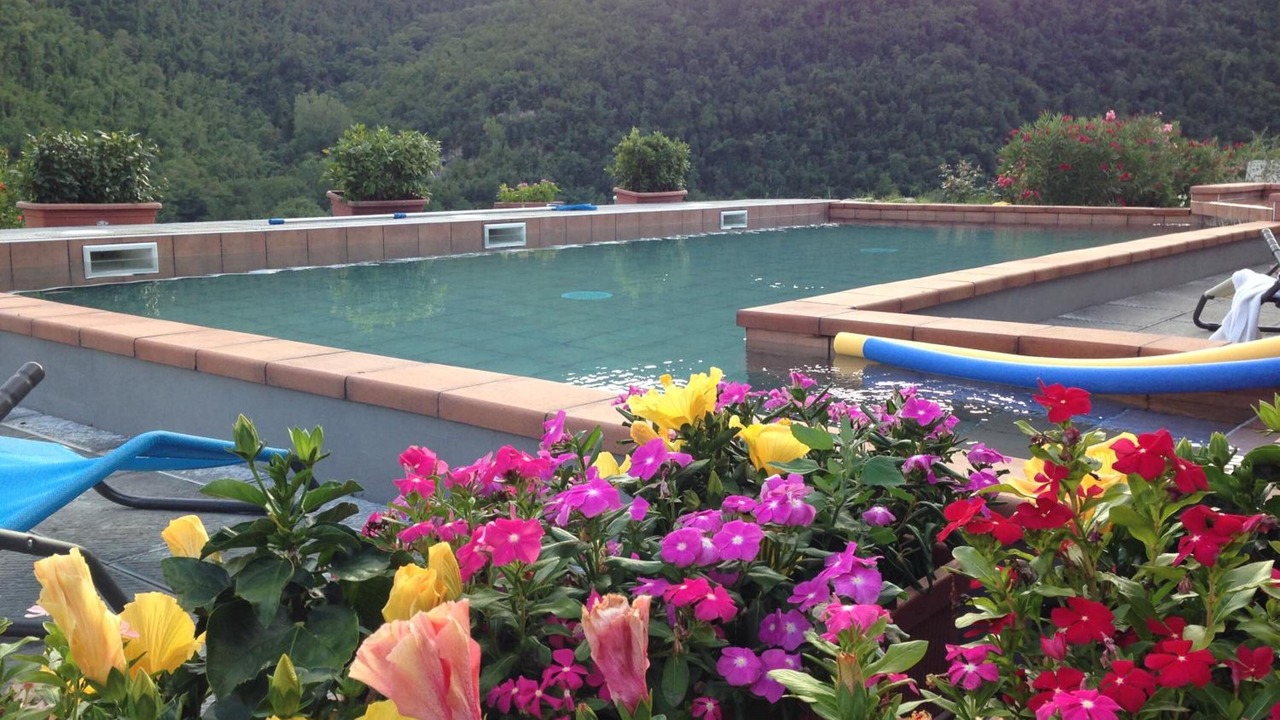 Photo of Outdoor in Pontassieve
