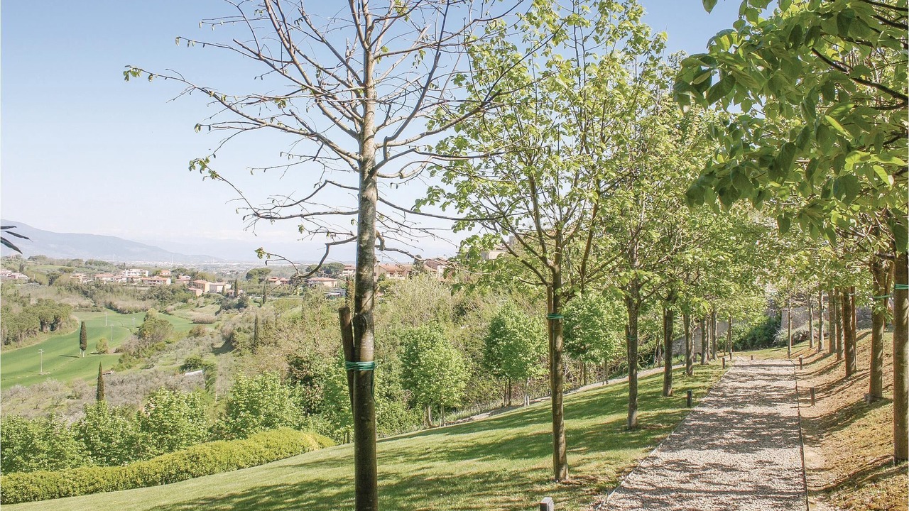 Photo of Outdoor in Lari