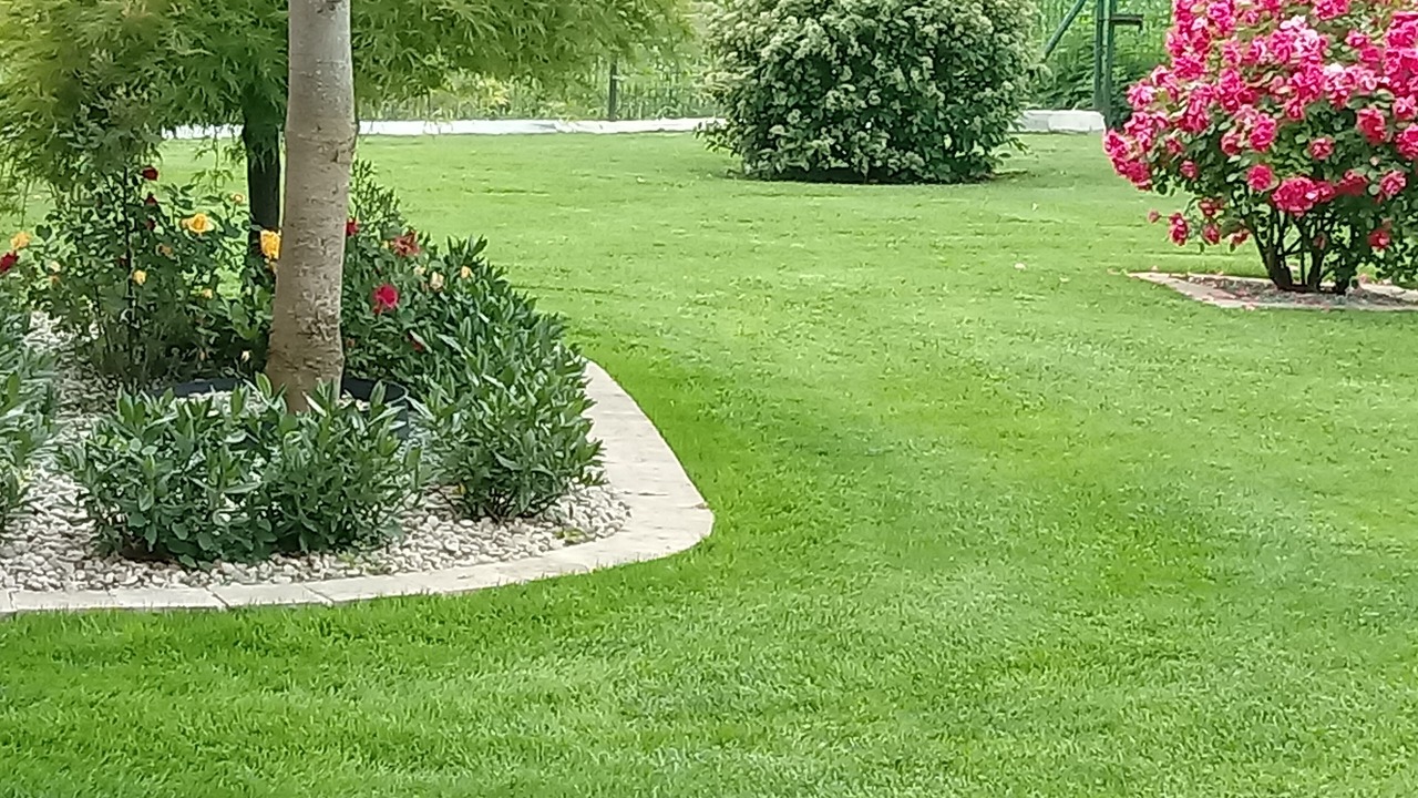 Photo of Outdoor in Luzzara