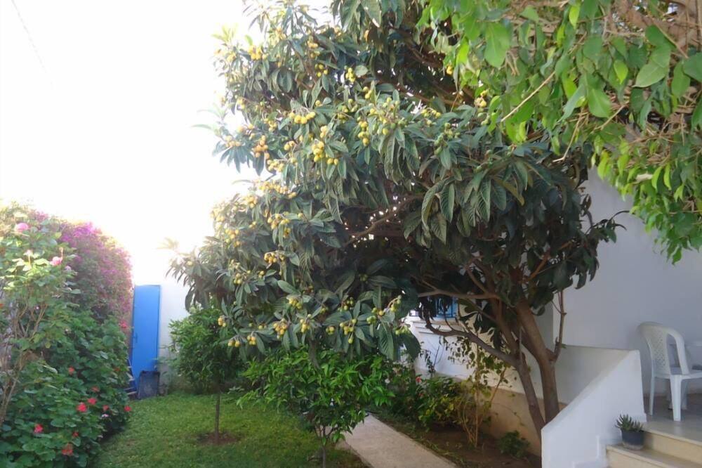 Photo of Outdoor in La Marsa