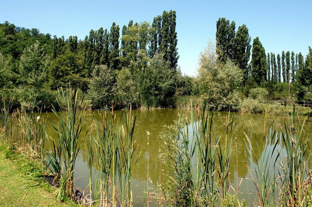 Photo of Outdoor in Montopoli in Val d'Arno