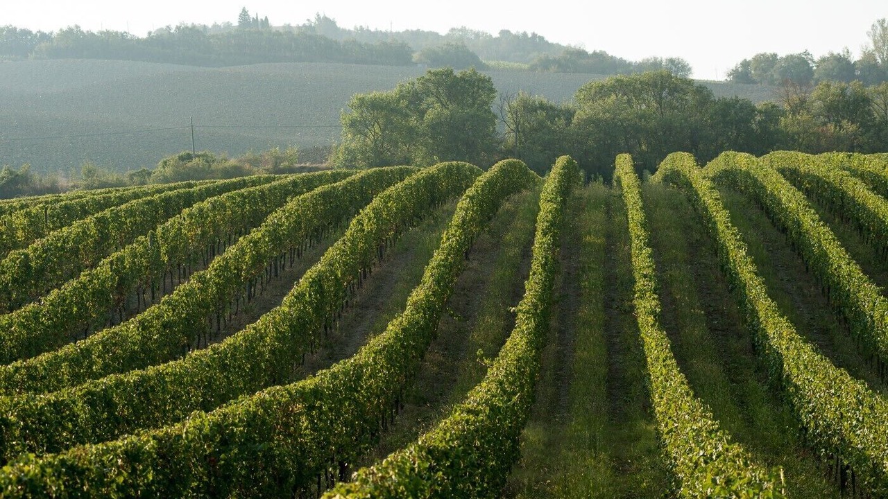 Photo of Outdoor in Urbino