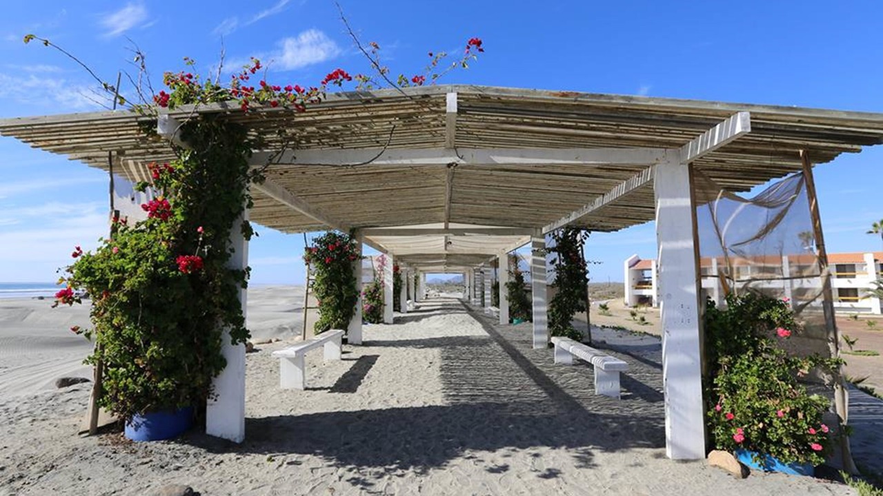 Photo of Others in San Quintin