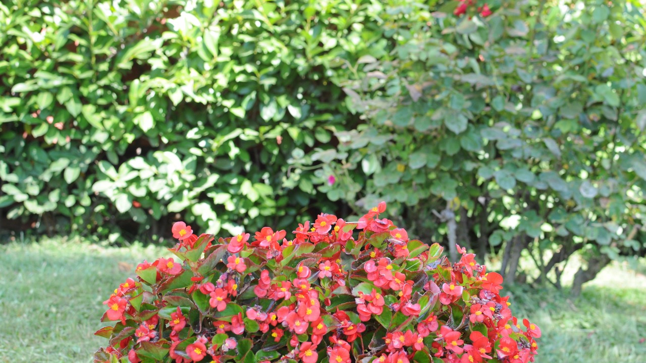 Photo of Outdoor in Signa
