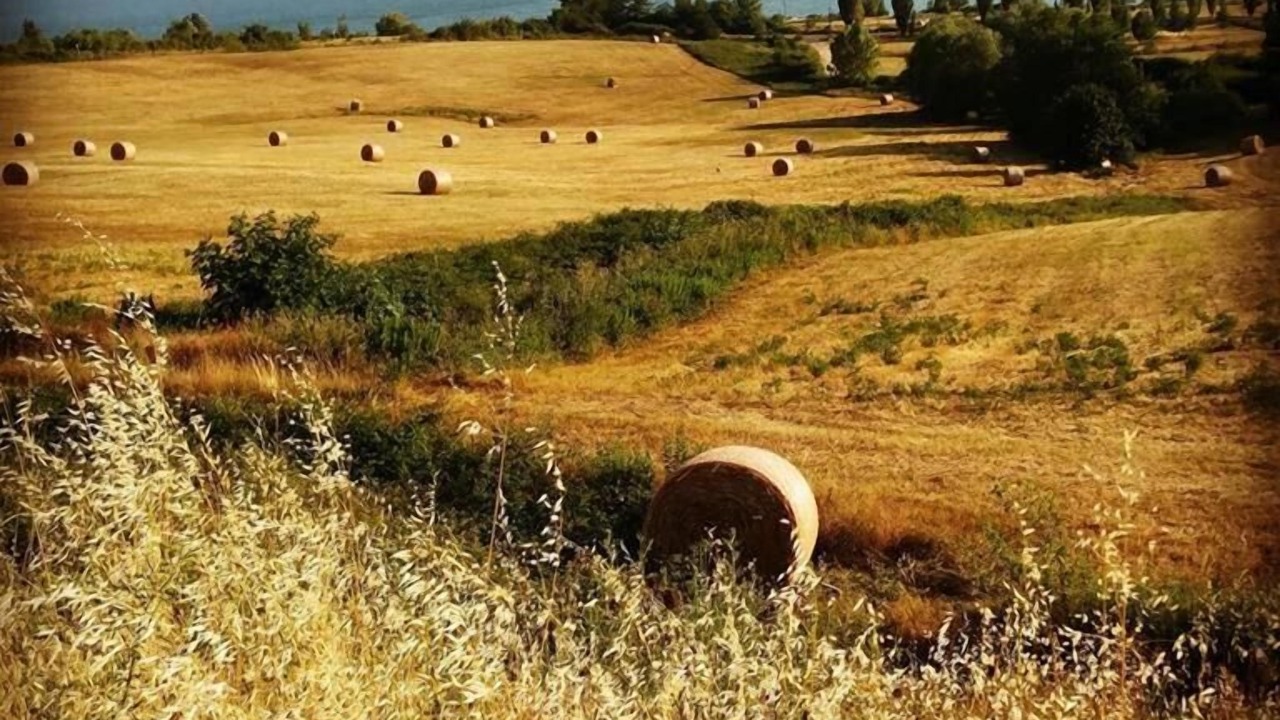 Photo of Outdoor in Cavallina