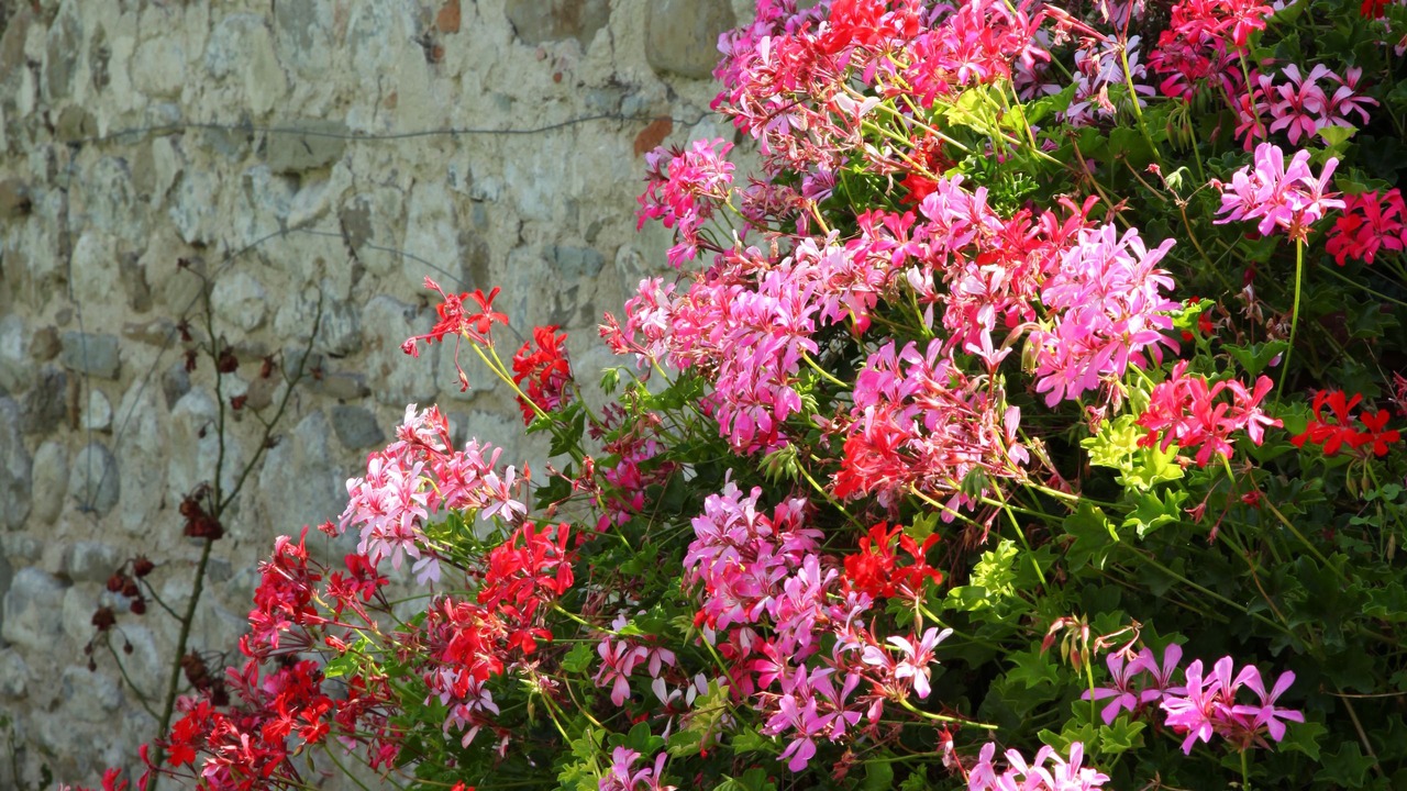 Photo of Patio Balcony in Rovezzano
