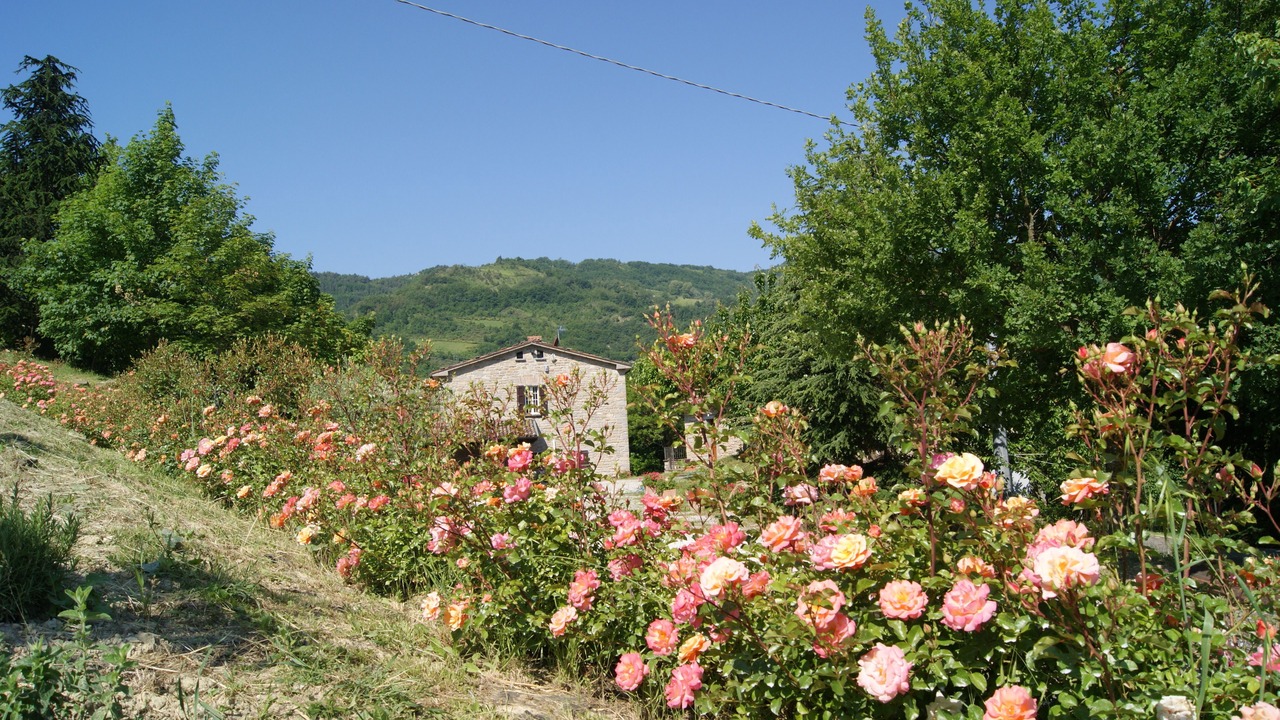 Photo of Others in Brisighella