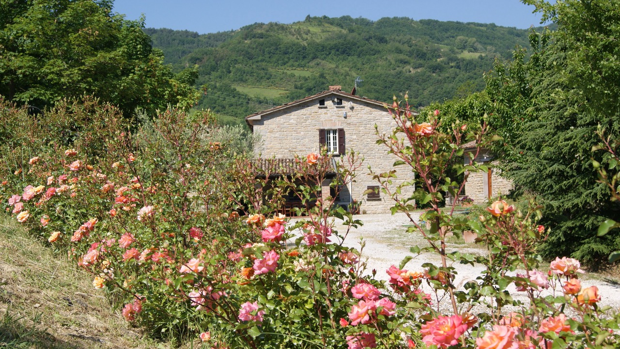 Photo of Outdoor in Brisighella