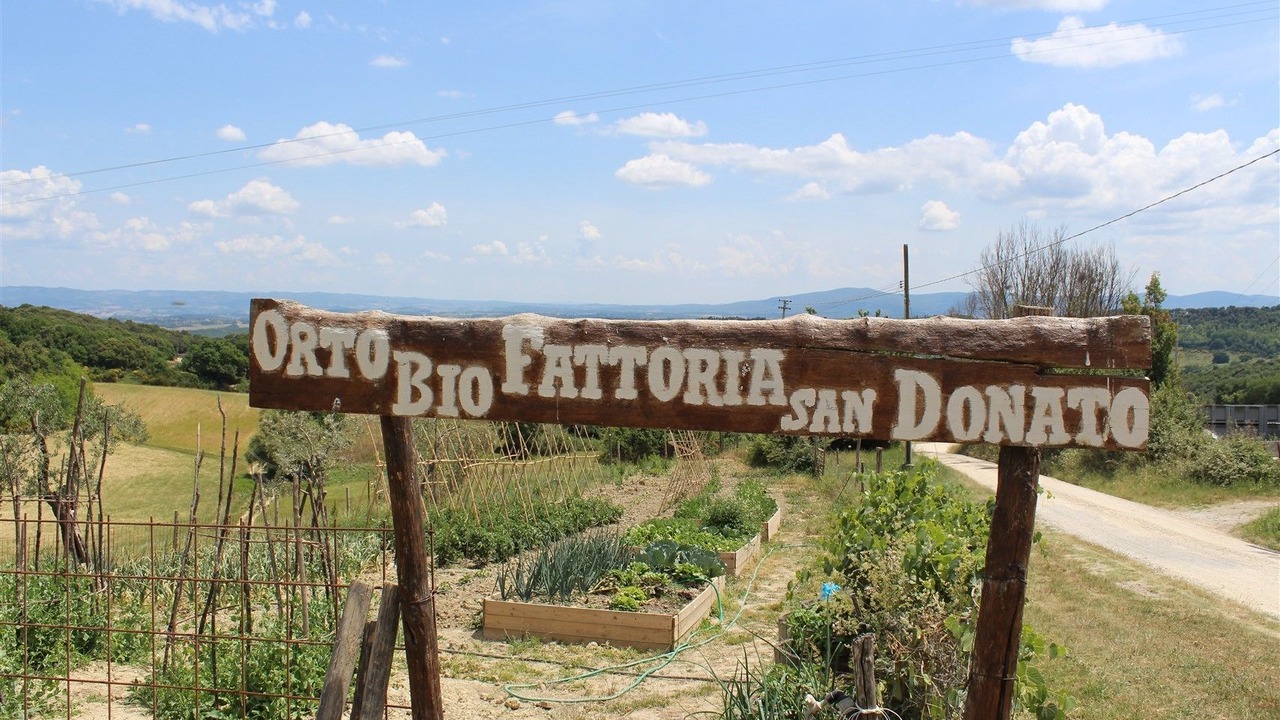 Photo of Others in San Gimignano
