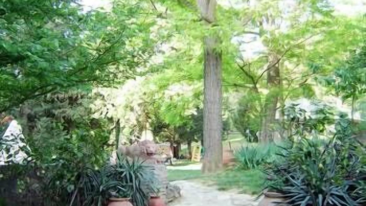 Photo of Outdoor in San Gimignano