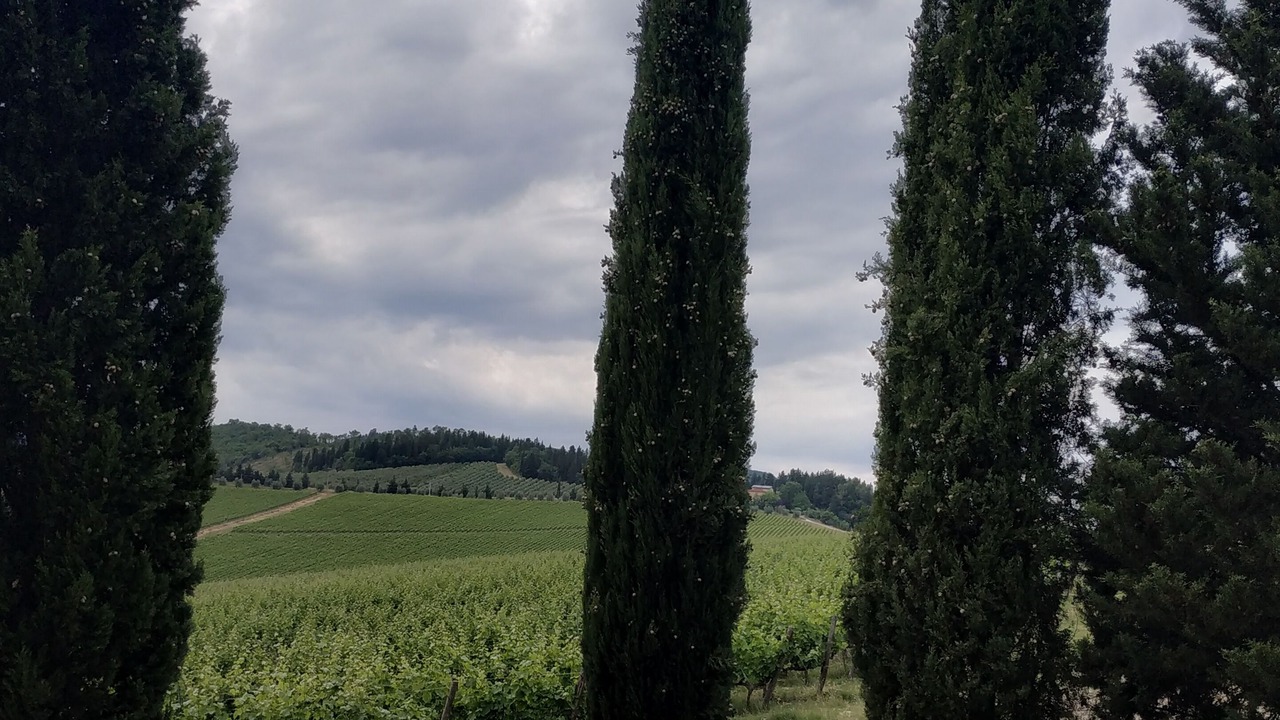 Photo of Outdoor in Twist