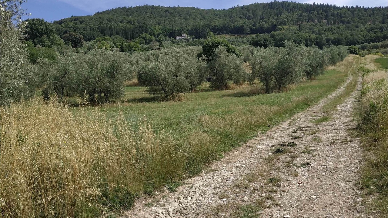 Photo of Outdoor in Twist