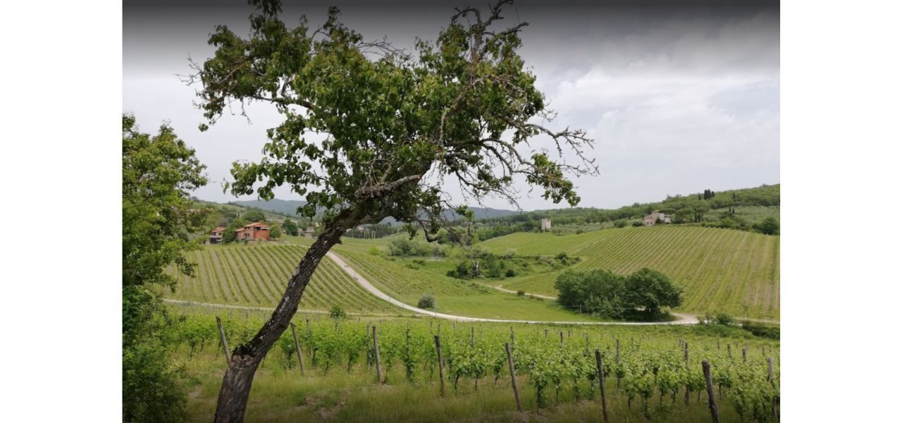 Photo of Others in Radda in Chianti