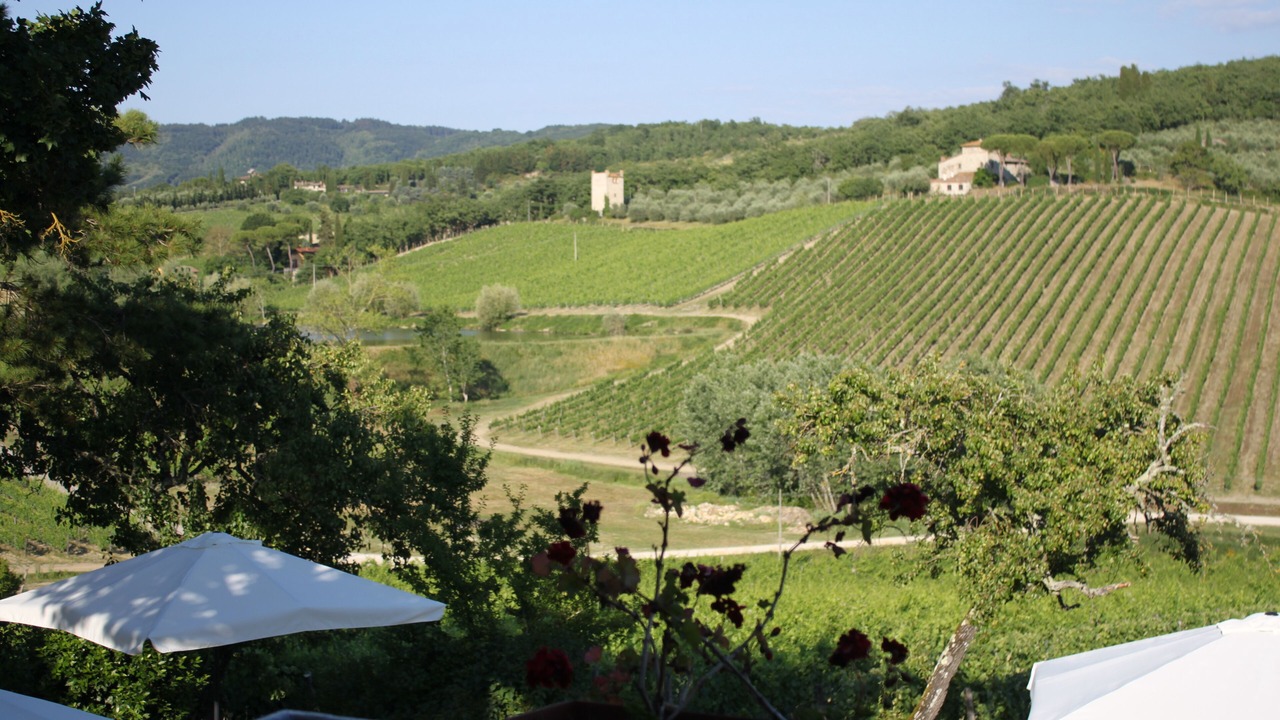 Photo of Patio Balcony in Radda in Chianti