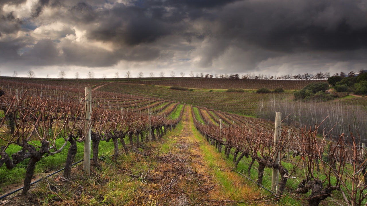 Photo of Outdoor in Stellenbosch