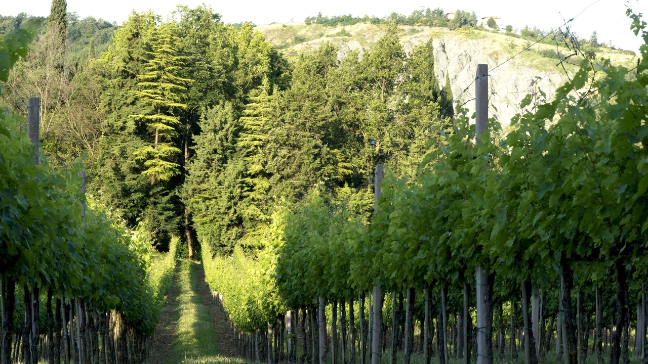 Photo of Outdoor in Santo Stefano