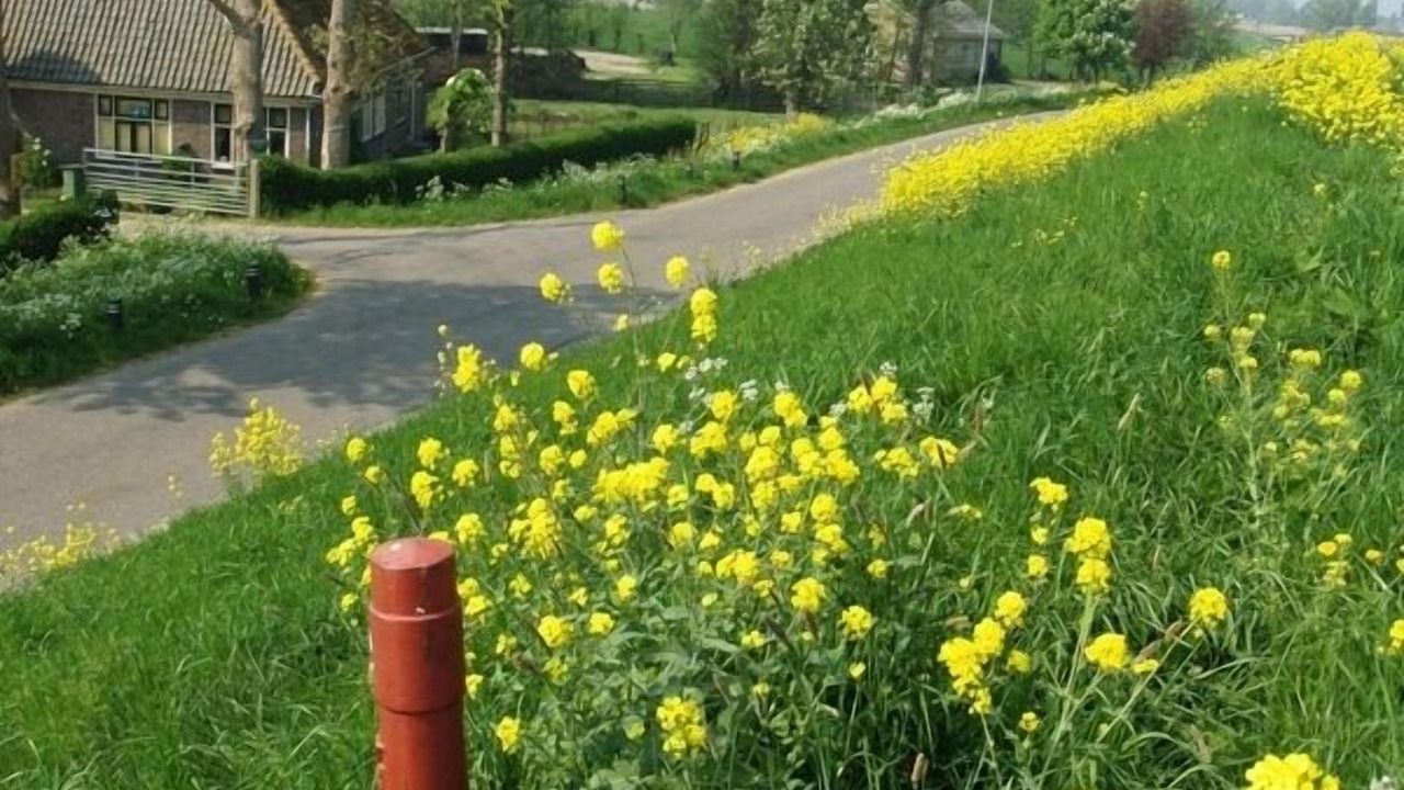 Photo of Outdoor in Warder