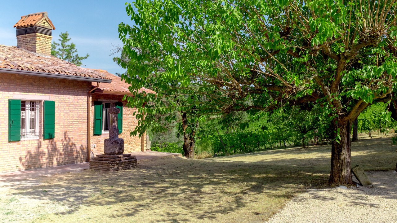 Photo of Outdoor in Bertinoro