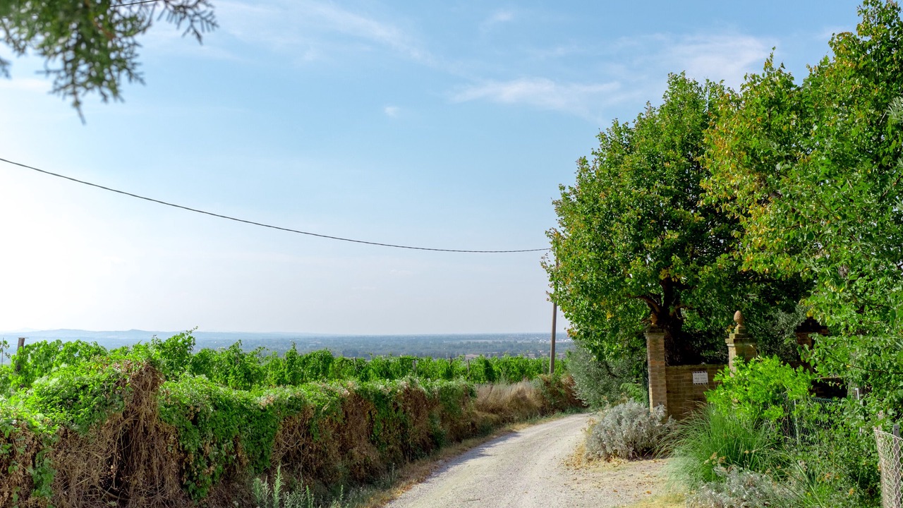Photo of Outdoor in Bertinoro