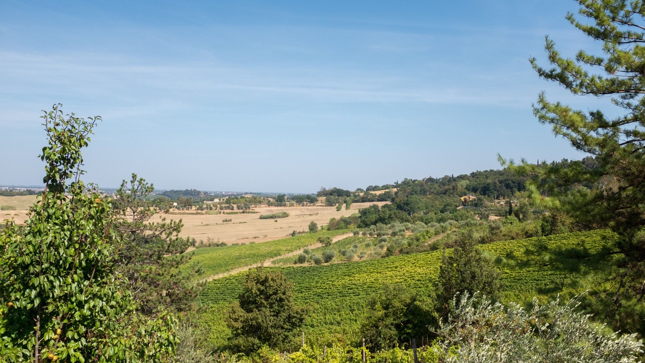 Photo of Outdoor in Bertinoro