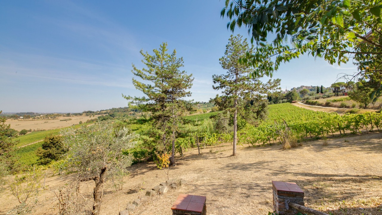 Photo of Outdoor in Bertinoro