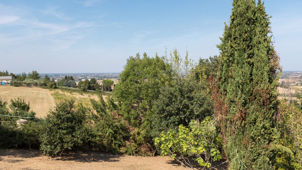 Photo of Outdoor in Bertinoro