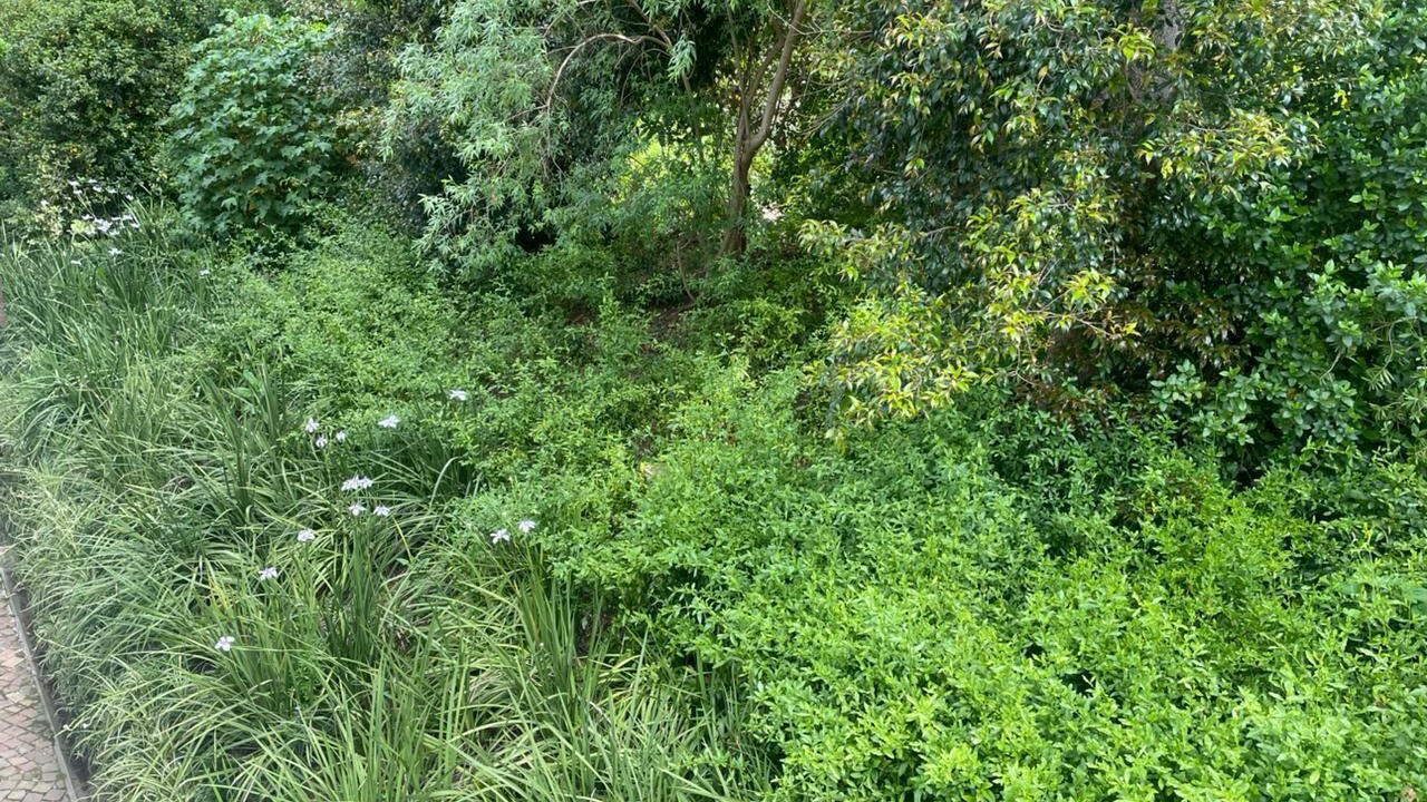 Photo of Outdoor in Cape Winelands