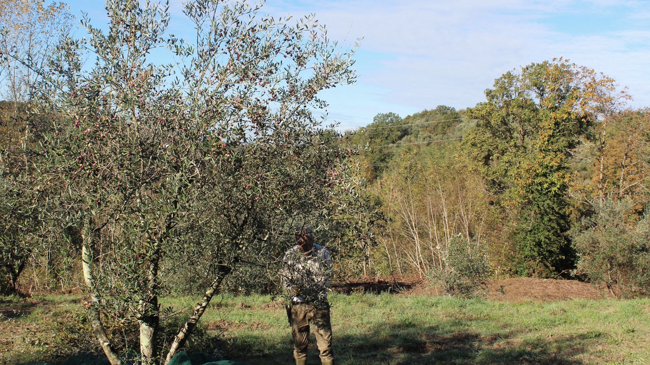 Photo of Outdoor in Montecastello
