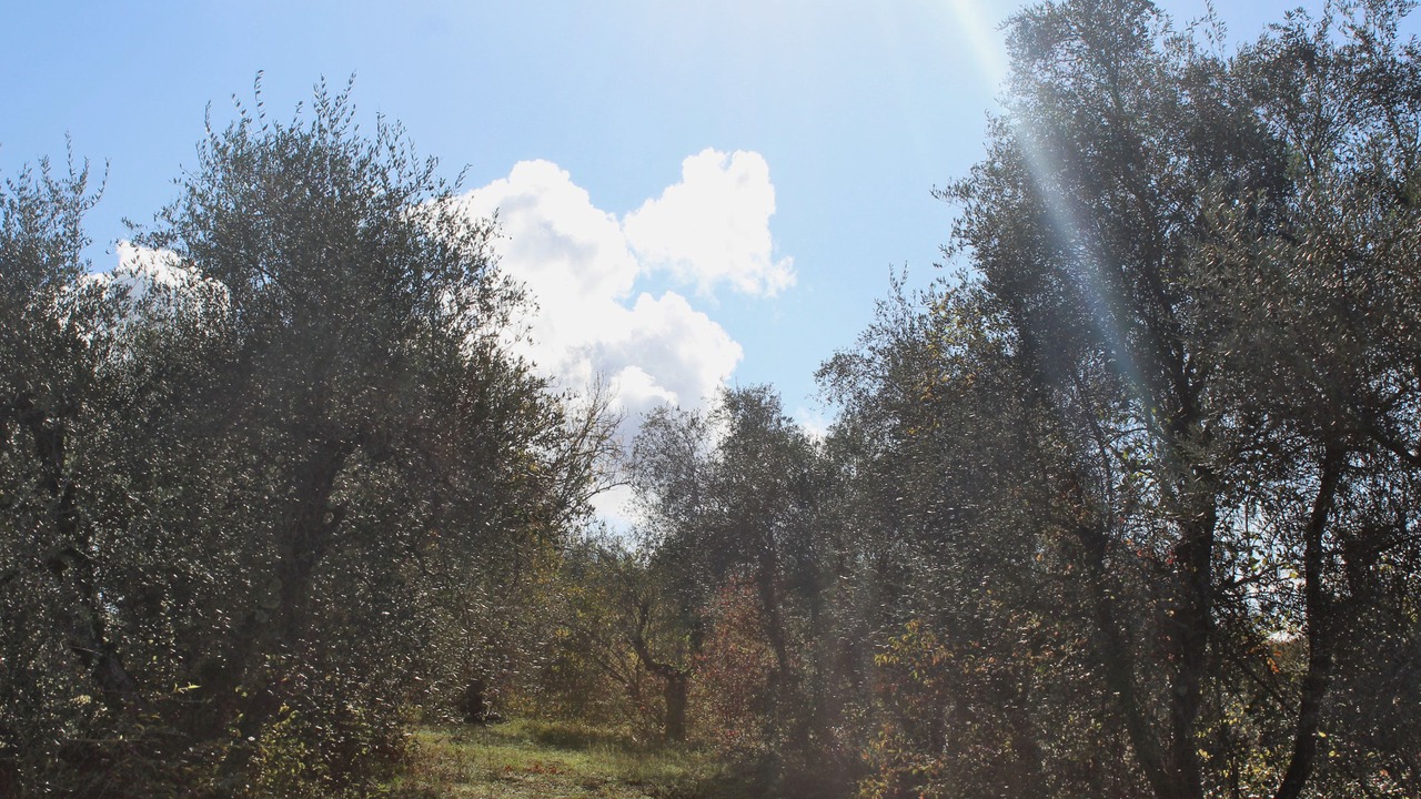 Photo of Outdoor in Montecastello