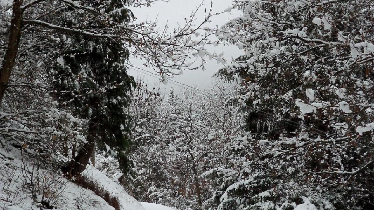 Photo of Outdoor in Sambuca Pistoiese