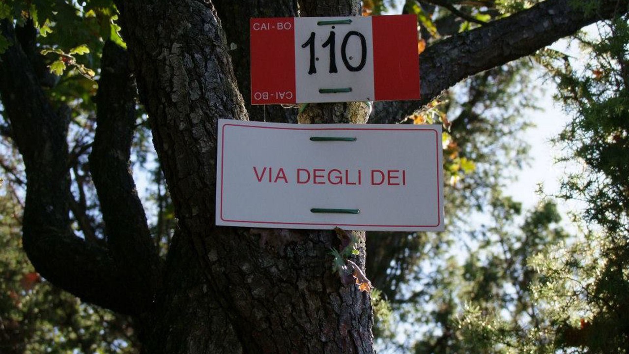 Photo of Outdoor in Livergnano
