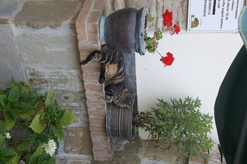 Photo of Outdoor in Barberino di Mugello