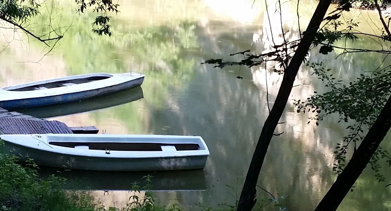 Photo of Others in Brisighella