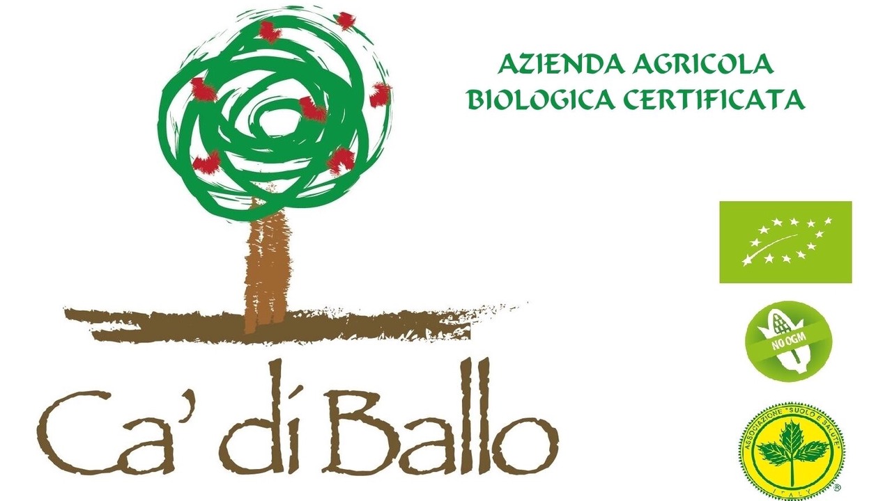 Photo of Others in Brisighella