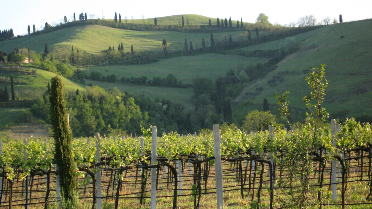 Photo of Outdoor in Brisighella