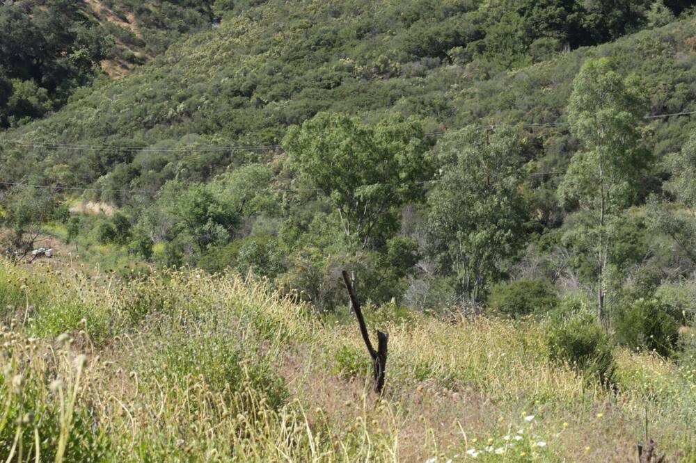 Photo of Outdoor in Old Topanga