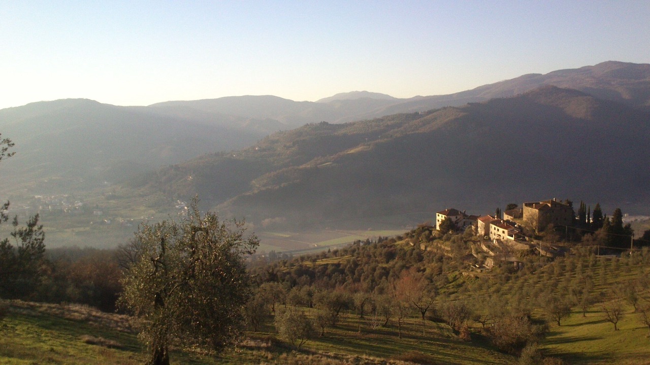 Photo of Outdoor in Rufina