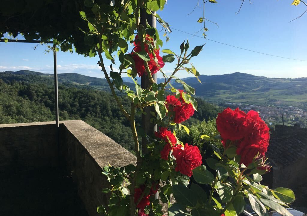 Photo of Outdoor in Rufina