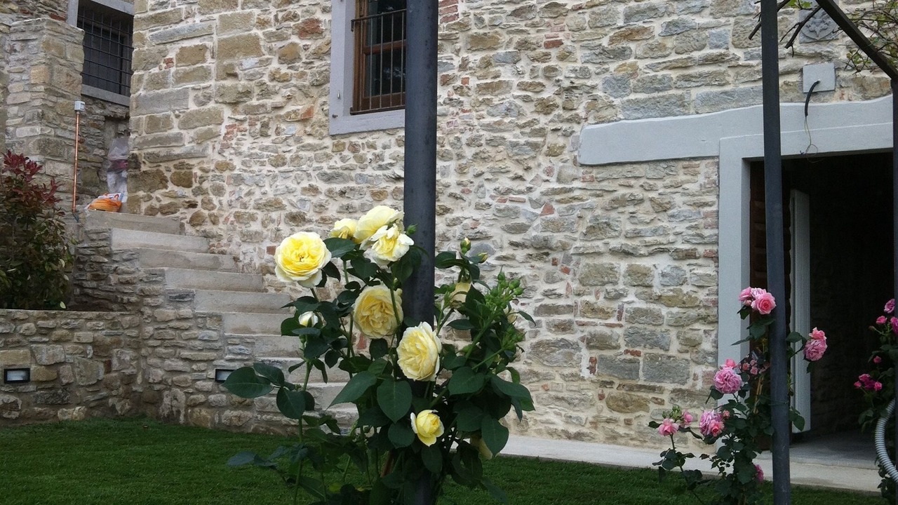 Photo of Outdoor in Rufina
