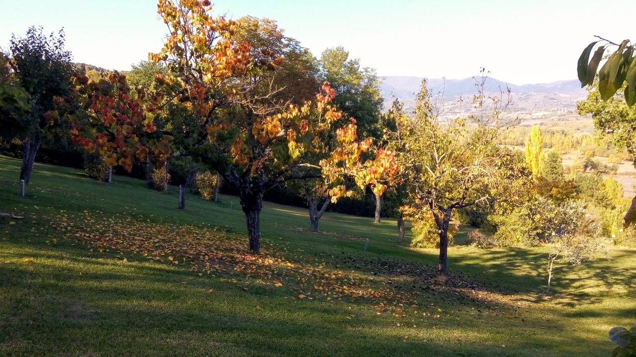 Photo of Outdoor in Borgo alla Collina