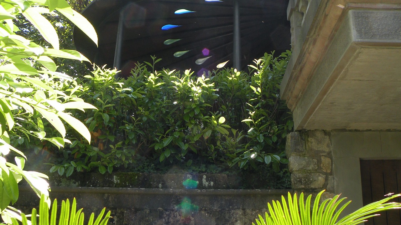 Photo of Outdoor in Borgo alla Collina