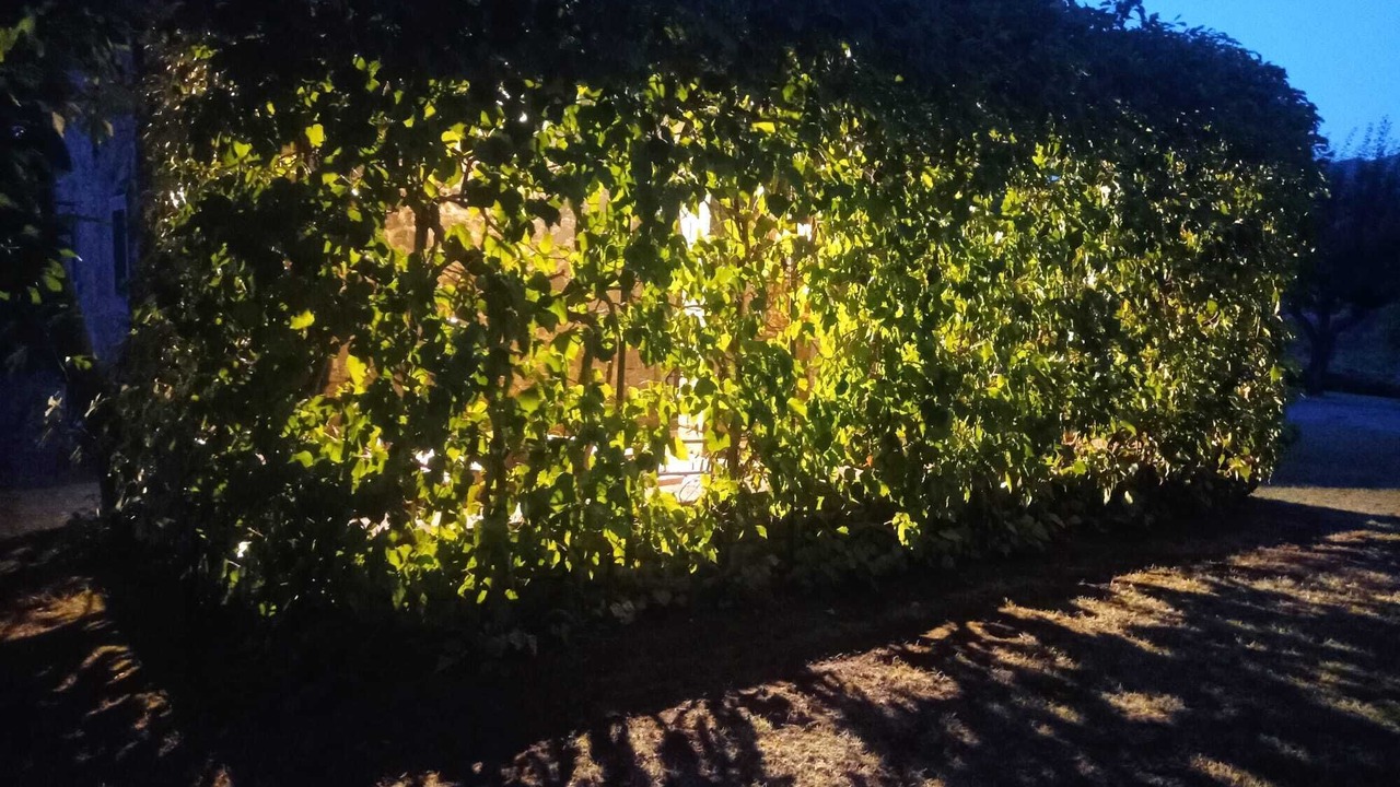 Photo of Outdoor in Castel Focognano