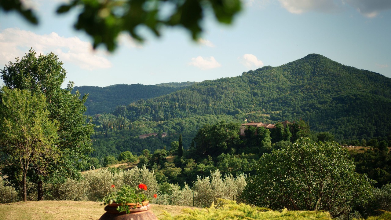 Photo of Outdoor in Castel Focognano