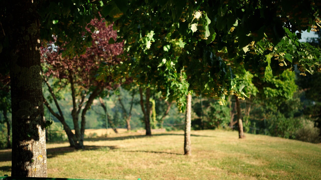 Photo of Others in Castel Focognano