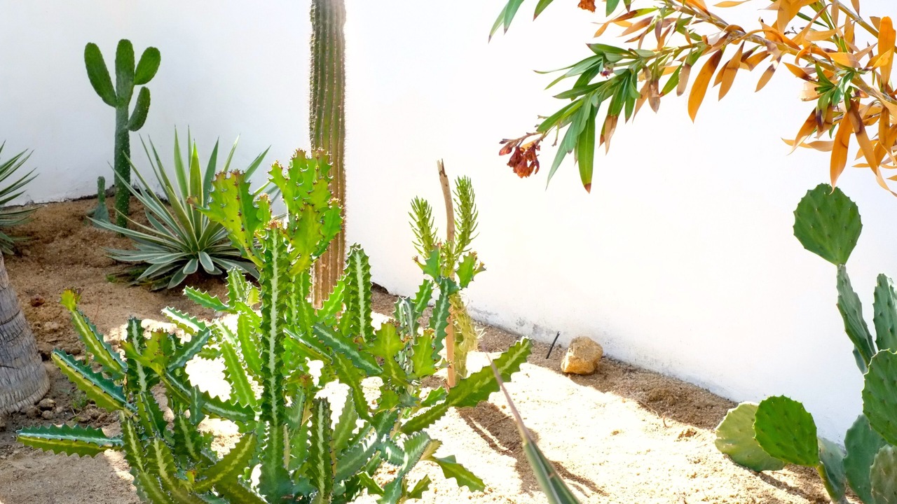 Photo of Outdoor in El Sargento