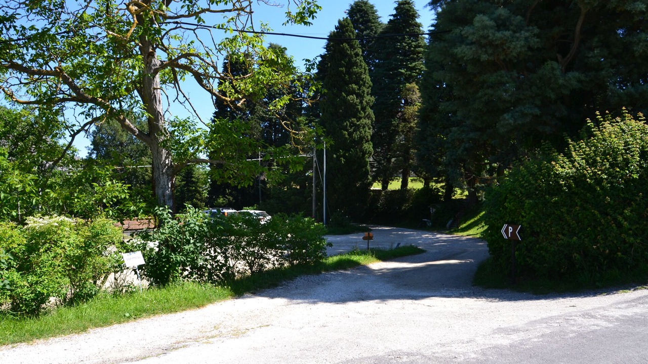 Photo of Others in Brisighella