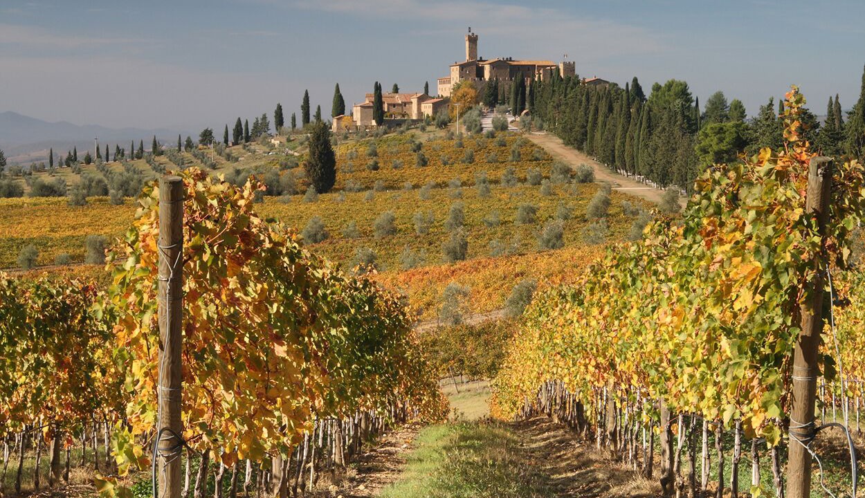 Photo of Outdoor in Gaiole in Chianti